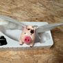 Novelty gift - Flying Pig (battery operated) Image 2