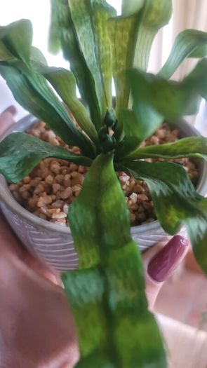 Artificial Plants in Ceramic Plant Pots with Decorative Stones x2