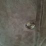 Shearling Sheepskin Medium (38) Ladies Image 2