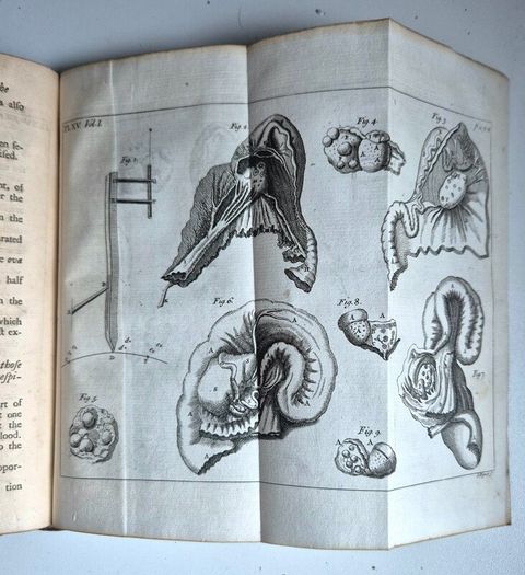 1742. The Philosophical History and Memoirs of the Royal Academy of Sciences at Paris. 1st Edition.  London, First Edition, Octavo, 8vo, Antiquarian, Rare Book, Scientific, Natural Philosophy, French Science, Translation, Abridgment, Copper-Plates.