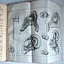 1742. The Philosophical History and Memoirs of the Royal Academy of Sciences at Paris. 1st Edition.  London, First Edition, Octavo, 8vo, Antiquarian, Rare Book, Scientific, Natural Philosophy, French Science, Translation, Abridgment, Copper-Plates. Image 2