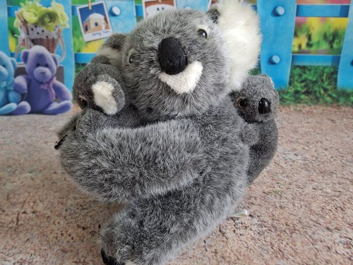 Koala Toys set K101