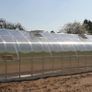 Greenhouse "Raindrop" with Automatic roof windows included Image 4