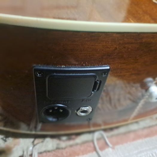 Washburn D10SCE - DL Natural electric semi acoustic