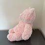 Jellycat Leola Bear Pink Medium Image 3