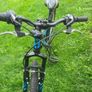 Spartan Xtreme bike Image 3