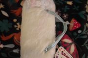 unicorn fluffy hardcase for glasses