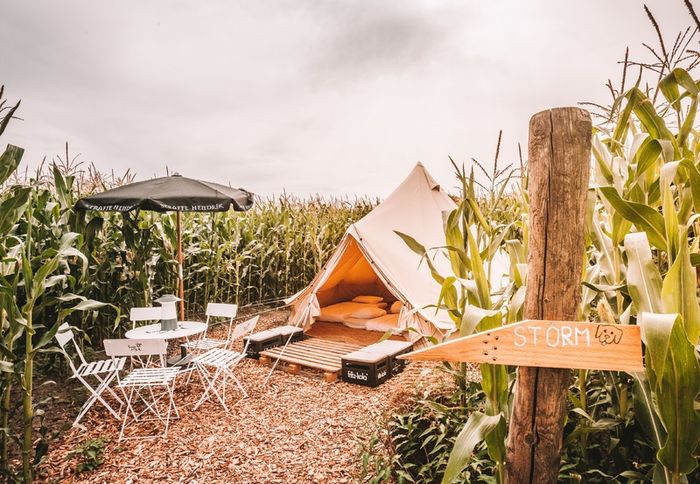 Professional TC Bell Tents  New 2026 Model