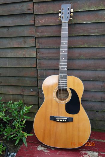 Guitar