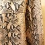Women's Faux Suede Snake Print Coat Size M Image 6