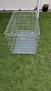 dog cage