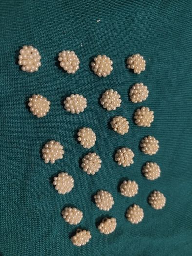 button