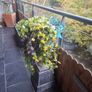 Cast garden Urn with artificial flowers Image 3
