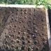 Growmore402