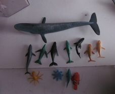 Schleich Blue Whale Marine Animal Figure 73527+