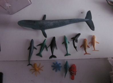 Schleich Blue Whale Marine Animal Figure 73527+