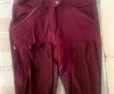 riding pants