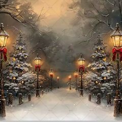 Christmas photography backdrop