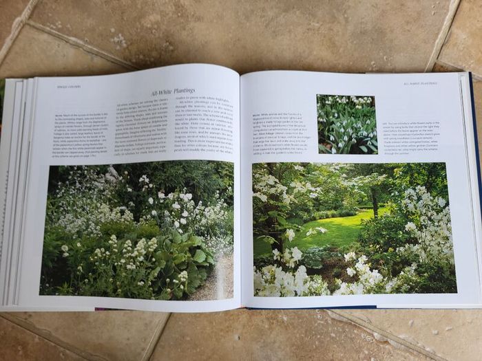 The Gardener's Book of Colour by Andrew Lawson.