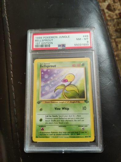 Pokemon TCG
