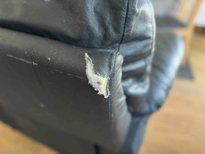 Free leather recliner