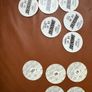 Panini caps Pogs 1996 Image 4