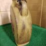 Ceramic Decanter Image 7