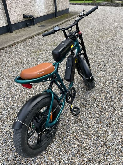 ENGWE M20 electric bike