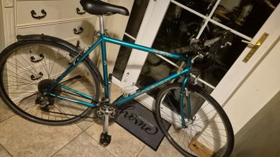 raleigh road racing bike