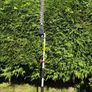 Parkside hedge trimmer Image 2