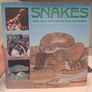 Coffee table Large Hardcover Nature & Maritime Books Image 8