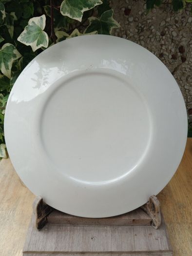 Mid century plate, display plate