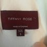 Tiffany Rose Maternity Wedding Dress Image 6