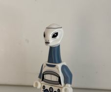 lego Star Wars taun we sw1216
