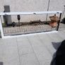 pvc door Image 10