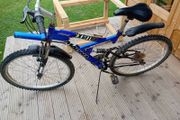 adults bike