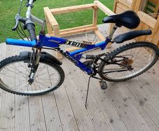 adults bike