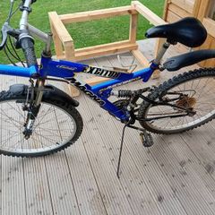 adults bike