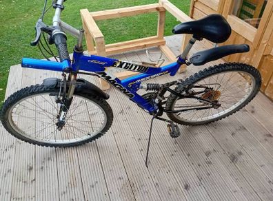 adults bike