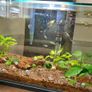 25l fish tank Image 3