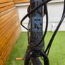 REID Urban X2 Hybrid Bike - Medium - 27 Speed - Hydraulic Disc Brakes Image 6