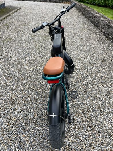ENGWE M20 electric bike
