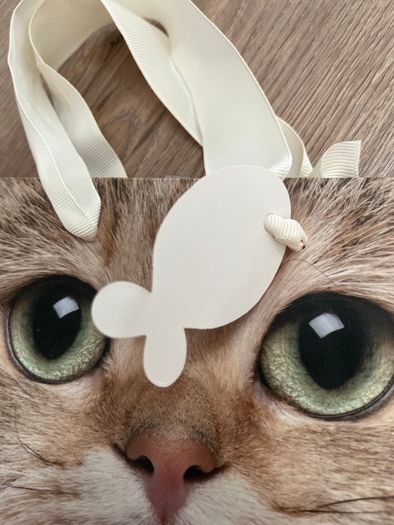 Cat Face Small Gift Bag