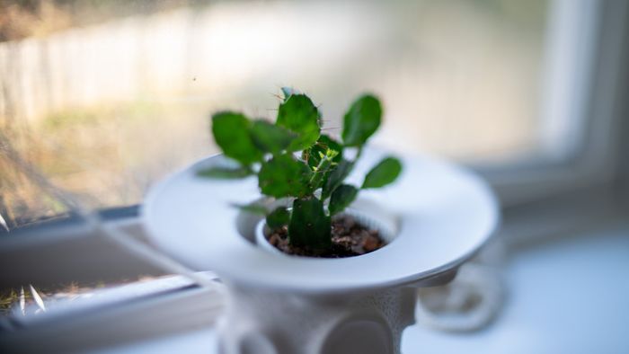AstrHori Full Frame 50mm F1.4 Tilt Shift Sony FE E Mount Miniature Landscape MF Lens