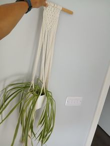 Macrame hanging and plant