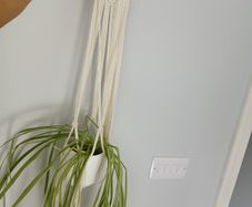 Macrame hanging and plant