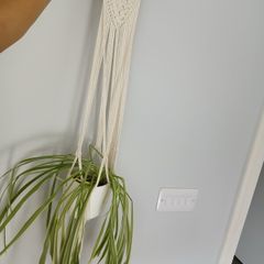 Macrame hanging and plant