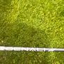 Callaway Quantum 3wood Image 3
