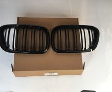 BMW x5 e53 Kidney Grill (Pre Facelift)