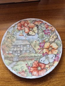 Royal Albert Plate. Butterfly Garden.